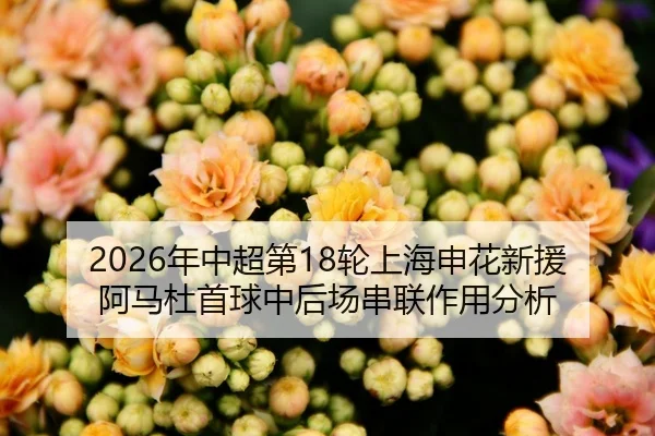 nian-zhong-chao-di-lun-shang-hai-shen-hua-xin-yuan-a-ma-du-shou-qiu-zhong-hou-chang-chuan-lian-zuo-yong-fen-xi-2-254.jpg